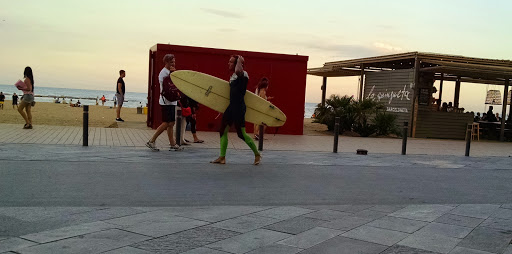 Boardriders Quiksilver Billabong Roxy Element Dc Shoes Rvca