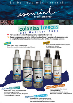  Nuevas colonias muy frescas y con personalidad propia